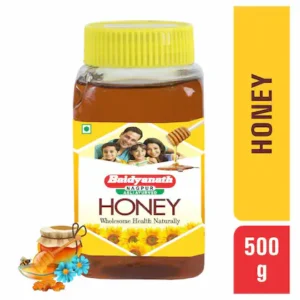 Baidyanath Honey 500 gm | Natural Immunity Booster
