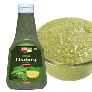 Add me Pudina Chutney Mint Sauce 390 Gm Classic Indian Pani Puri Bhelpuri Chatni Recipe Green Chutney