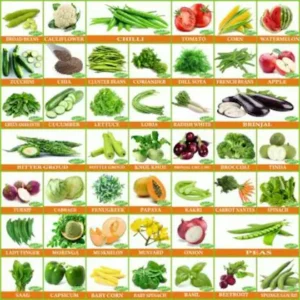 Vrisa Green 45 Varieties Of Vegetable Organic Seeds - 45 Per Packet