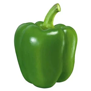 PARYAVARAAN Vegetable Seeds | capsicum greenl Hybrid Vegetable Seeds For home Gardening ( 20 SEEDS )