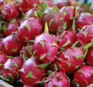 XOLDA Dragon fruit Seed (25 per packet)