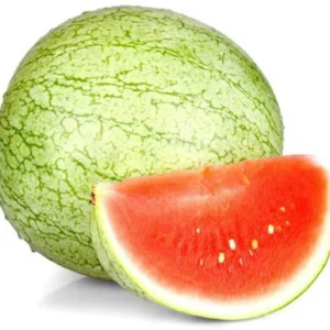 amransh Allthatgrows Water Melon Seeds, Green Round Watermelon Fruit Seeds Pack Of 20