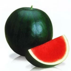 TAMRANSH Sugar Baby Watermelon Seeds / Fruit Seeds 220 seeds Per Packet