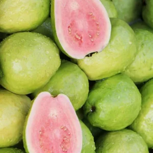 XOLDA Guava Hybrid Fruit Seed (15 per packet)