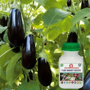 Erwon Plant Immunity Booster, Premium Essential Powerful Liquid Fertilizer for increasing immunity of Plants with Growth Nutrients and Charged Micro-organism (100 ml)