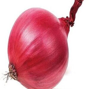 Soha Choice Onion High Germination Seeds for Your Garden/Easy to Grow/Organic Hybrid Vegetable Seeds for Home and Terrace Gardening