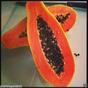 Tamransh Vertex Agencies M-Tech Gardens Rare Red Papaya Fruits Seeds, 15 Seeds