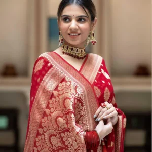 Z.N.S. BANARAS HANDLOOM STYLISH BANARASI GEORGETTE PATOLA WEDDING SAREE FOR WOMEN LK_50